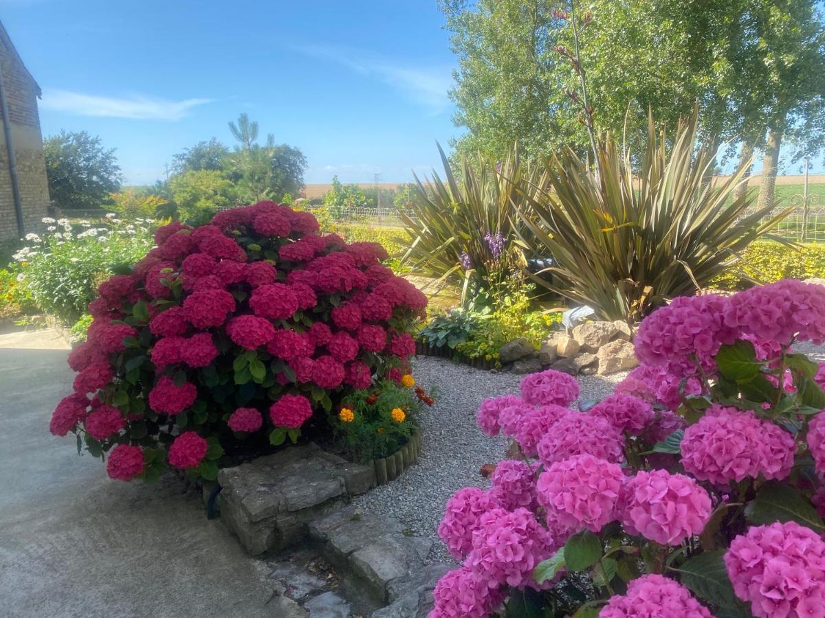 Ferme "Les Flaquettes" Bed & Breakfast Guînes Exterior foto